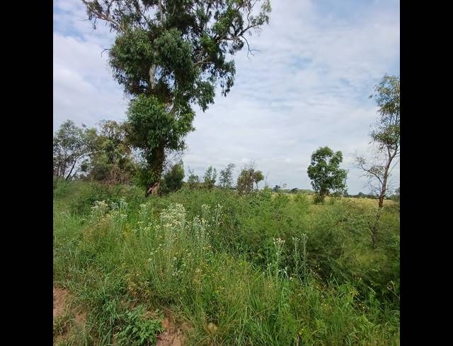 87,023M² VACANT LAND FOR SALE IN OPHIR AH